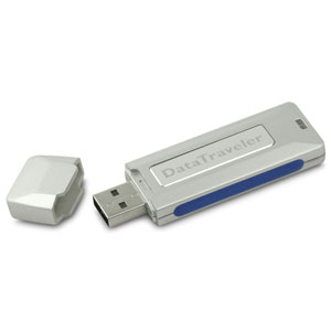 liter repertoire Bluebell Kingston DataTraveler USB 2.0 512MB Flash Drive, Pen Drive Retail
